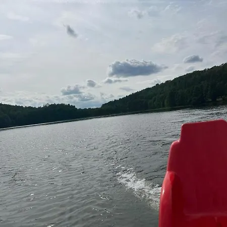 Lawendowy Wypas Mierzeszyn